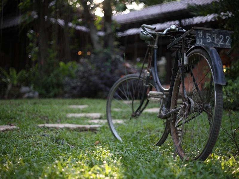 Viva Chiang Mai Nature Home Stay מראה חיצוני תמונה